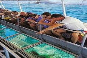 Glass Bottom Boat trip in Sharm el sheikh